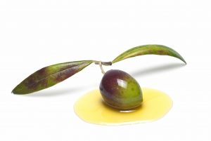 Jesus the olive branch, was crushed by the oil press