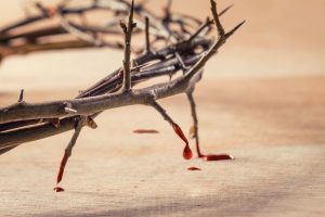 Jesus the olive branch, was crushed by the oil press