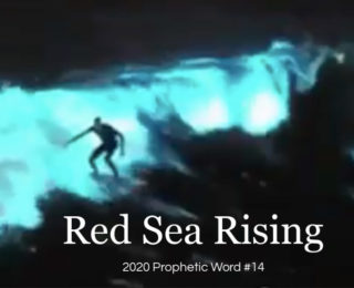 Red Sea Rising