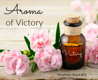 AROMA OF VICTORY