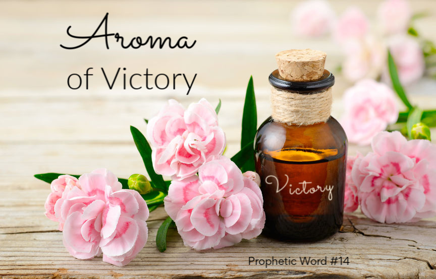 Exodus 2020 Prophetic Word - metaphor, Aroma of Victory