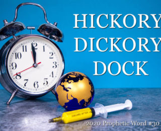 Hickory Dickory Doc