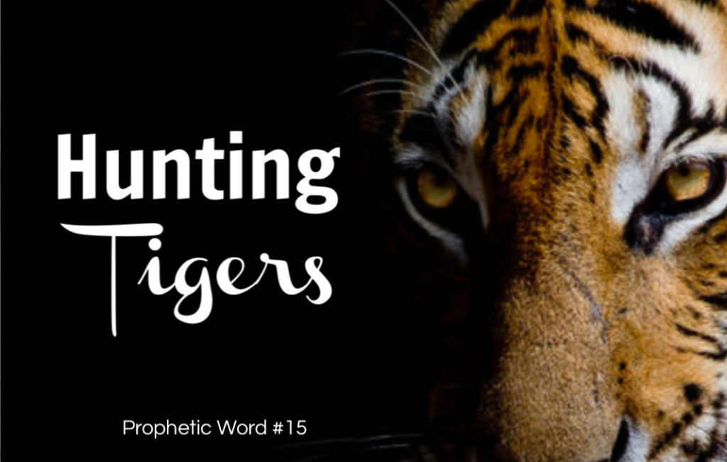 Exodus 2020 prophetic word - metaphor, Hunting Tigers