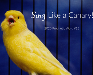 Sing Like a Canary