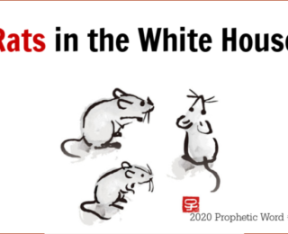 Rats in the White House