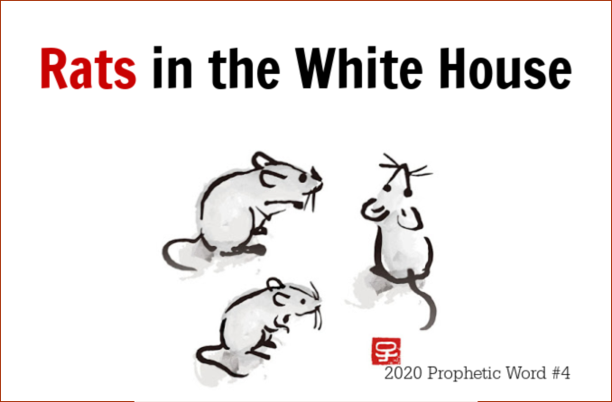 Exodus 2020 Prophetic Word - metaphor,rats in the white house