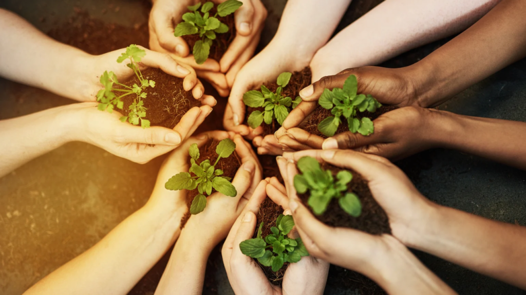 Nurturing spiritual growth