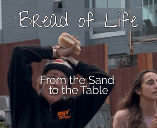 Bread of Life – From the Sand to the Table